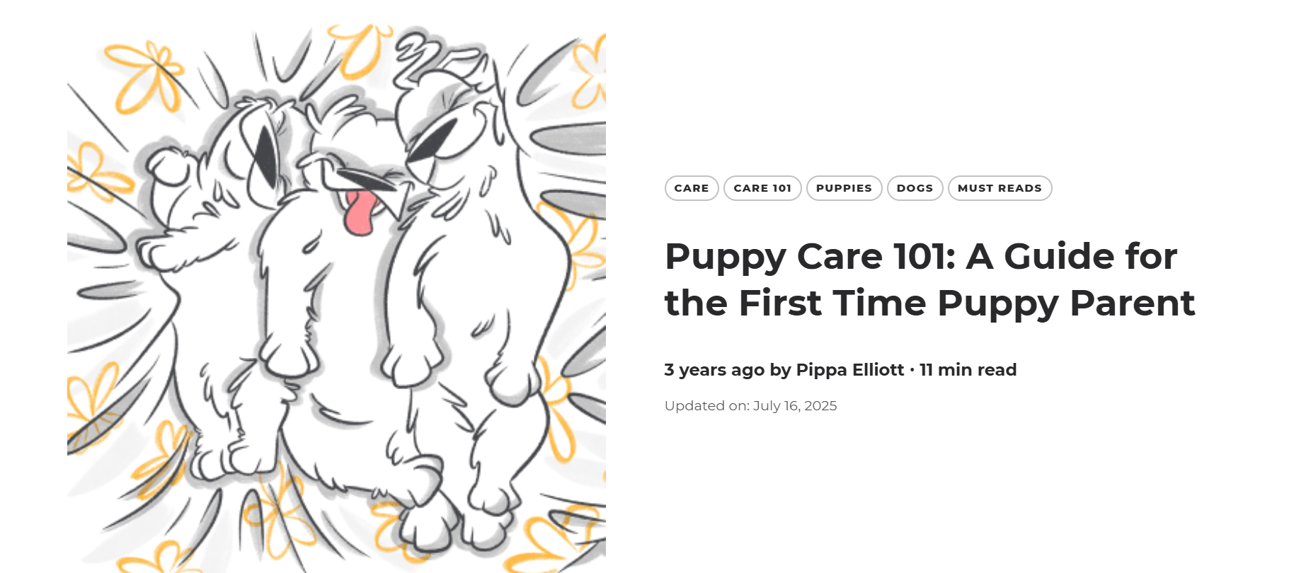 10x-pillar-content-example-from-petcube