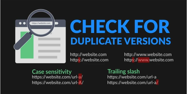 Check for duplicate versions