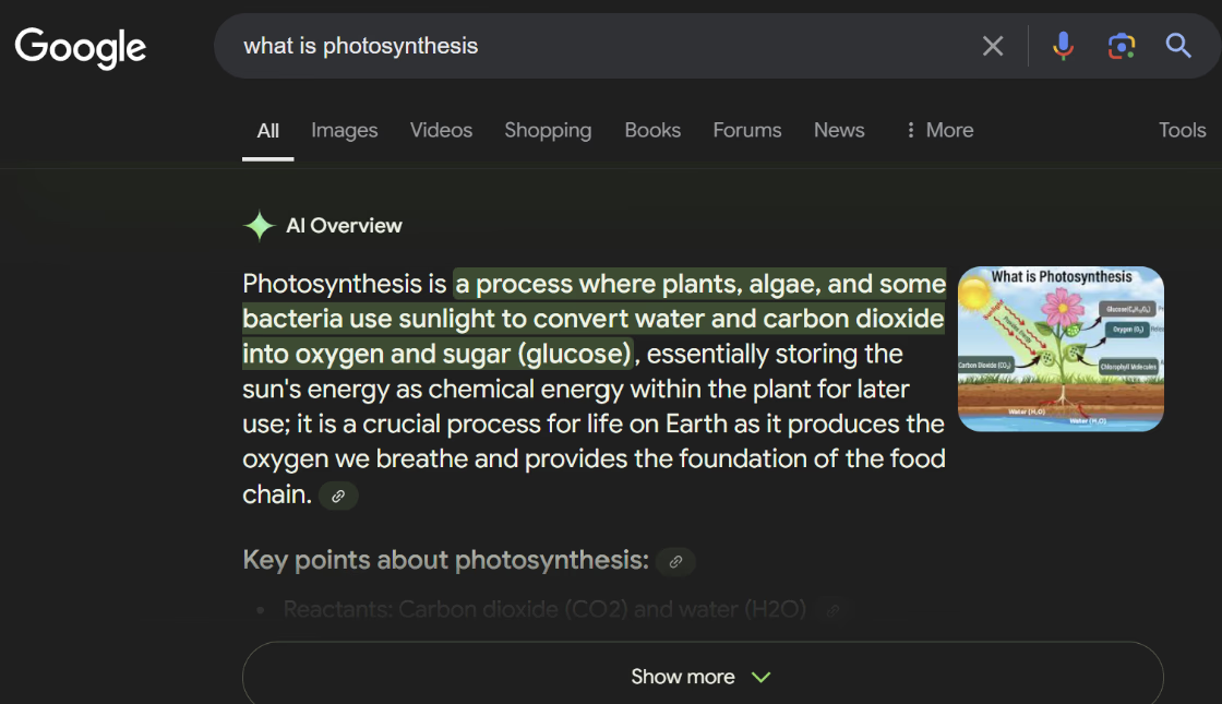 Paragraph snippets