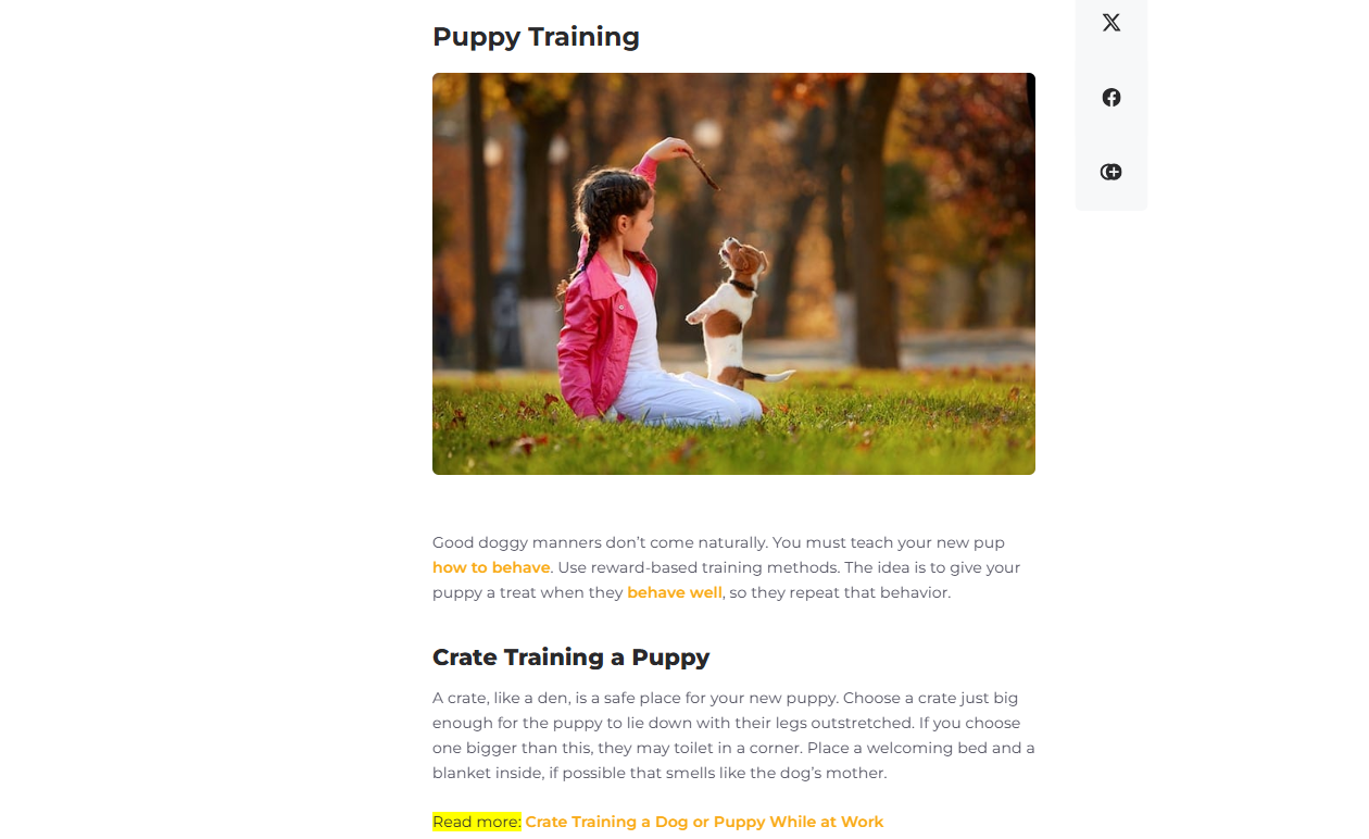 section-of-the-10x-content-pillar-content-from-petcube