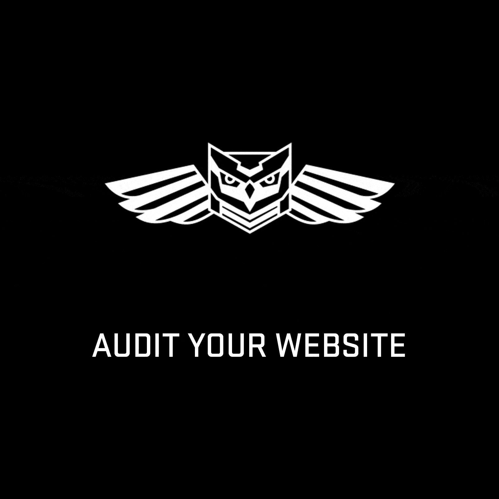 Site audit